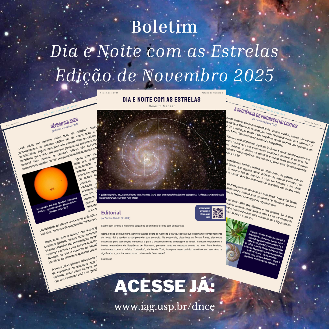 DNCE Ano 06-11 - novembro/2025